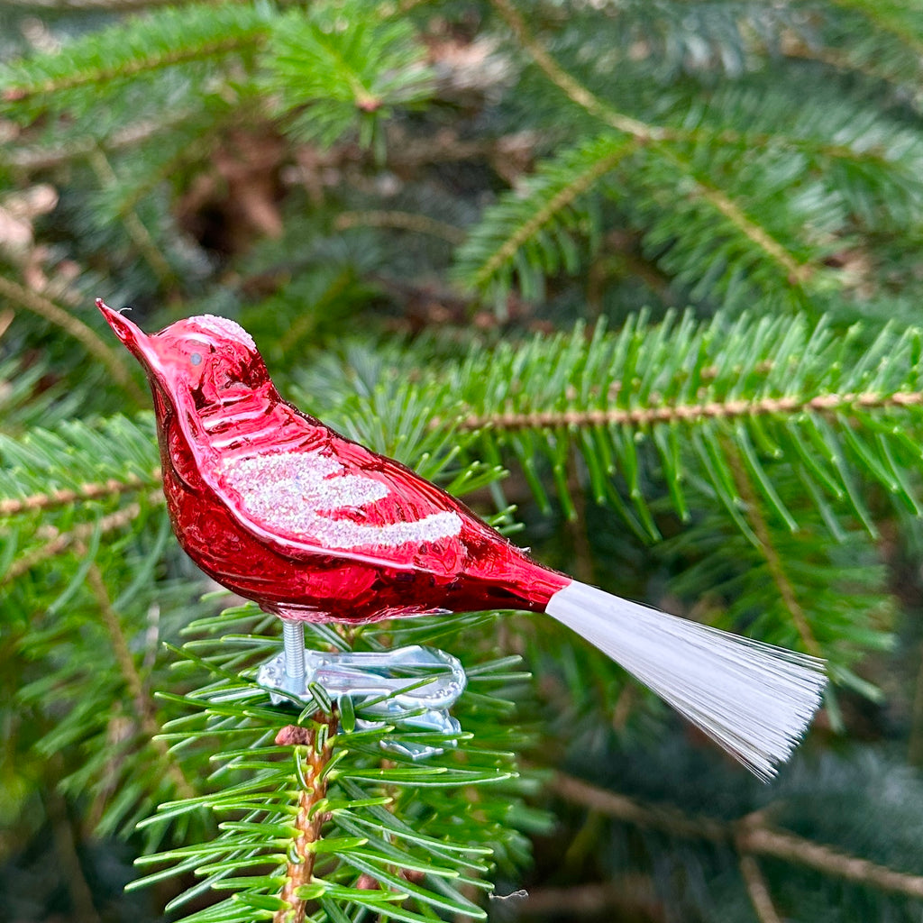 Red Bird