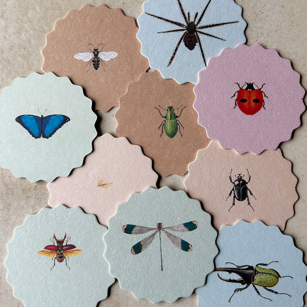 Insects