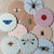 Insects