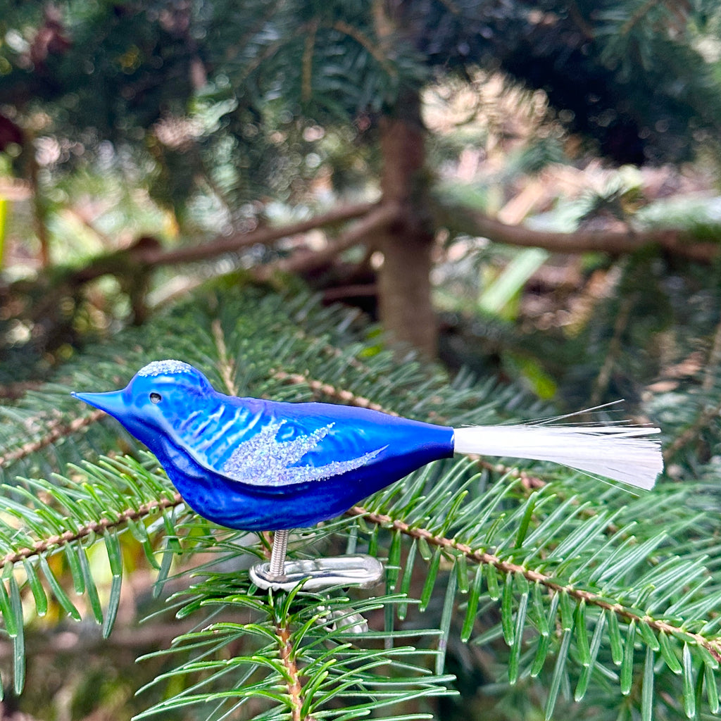 Blue Bird