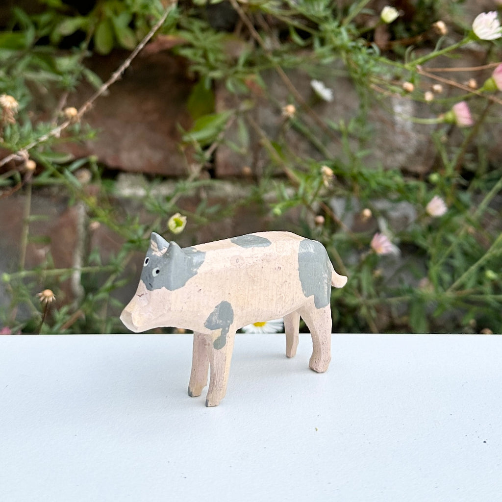 Pig