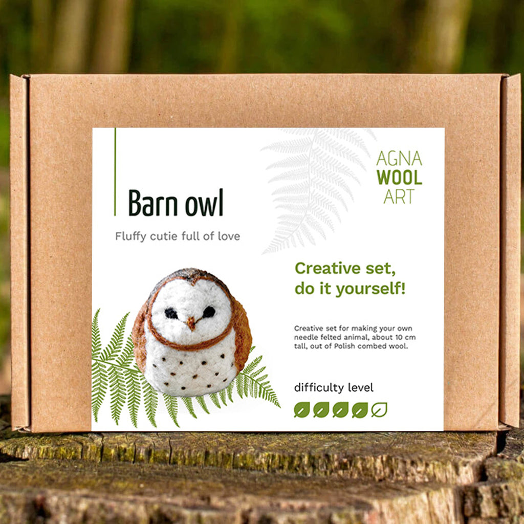 Barn Owl Felting Kit