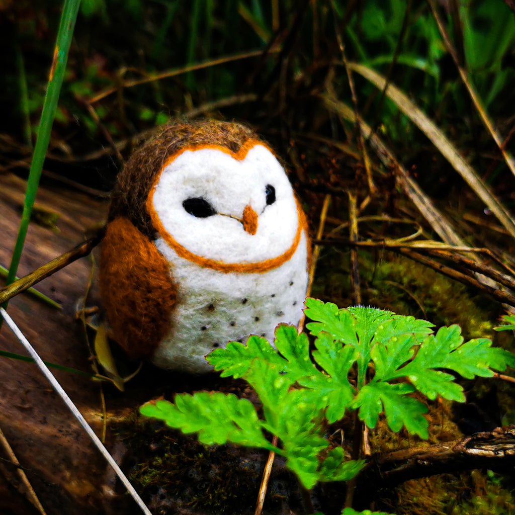 Barn Owl Felting Kit