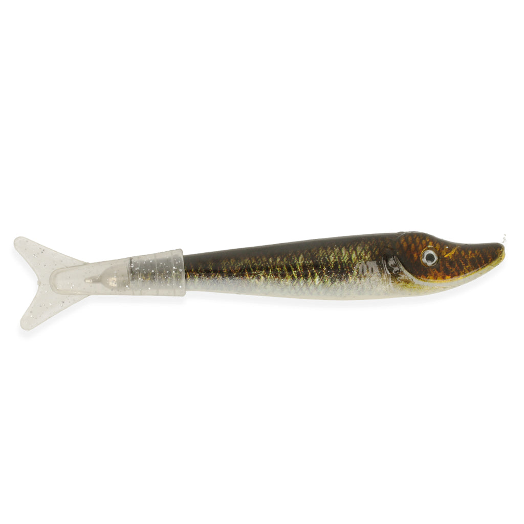 Edi