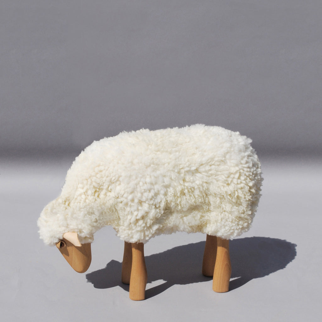 Lamb grazing