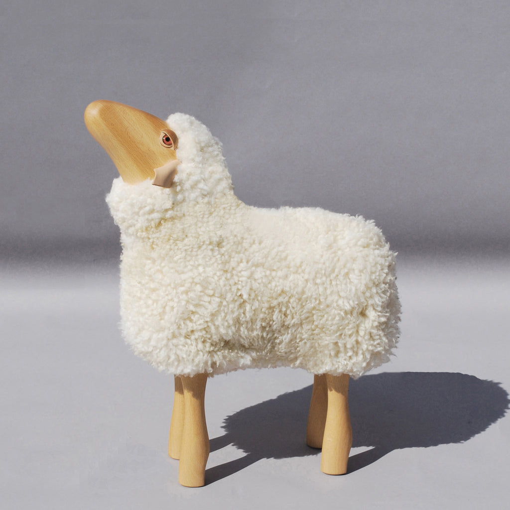 Lamb nosy