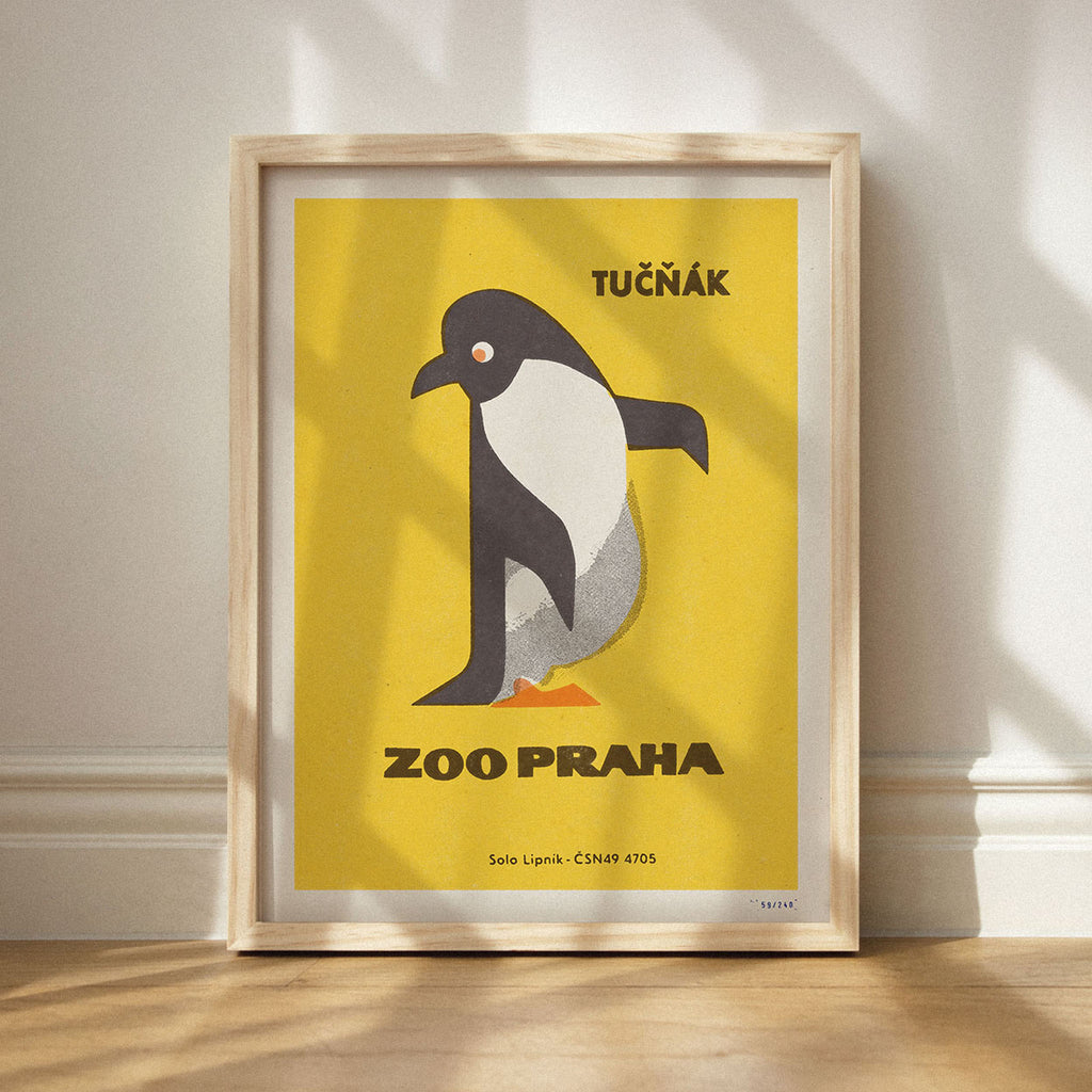 Prague Zoo - Penguin