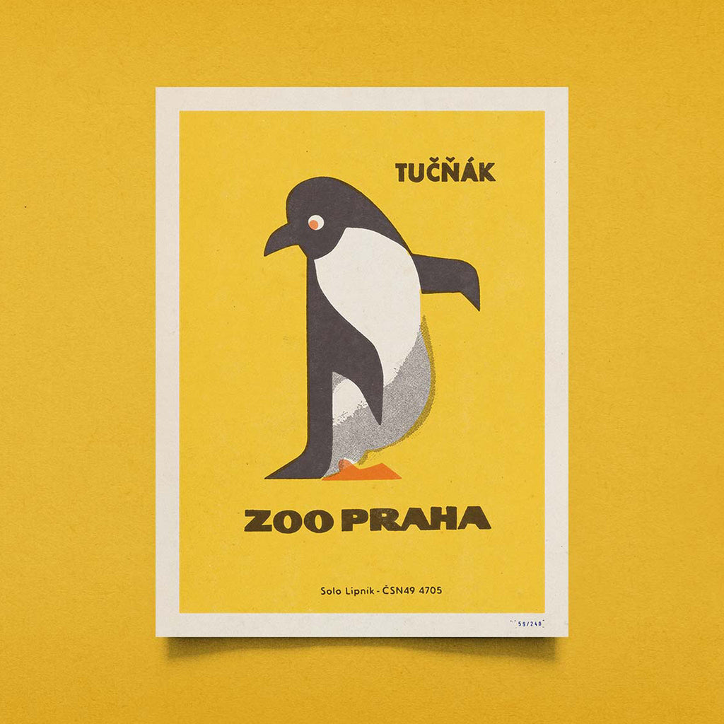 Prague Zoo - Penguin