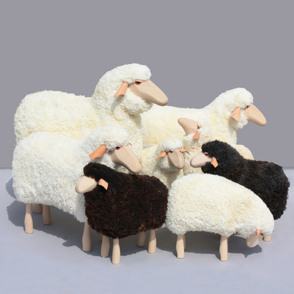 Sheep