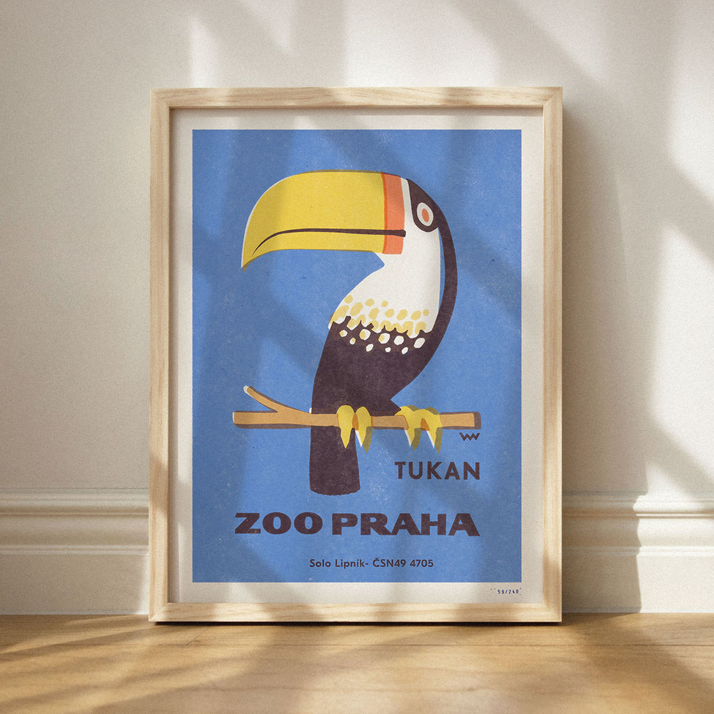 Prague Zoo - Tucan