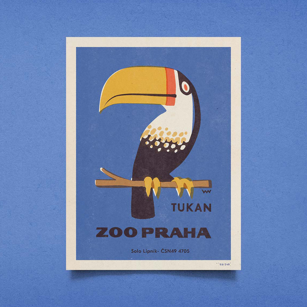 Prague Zoo - Tucan