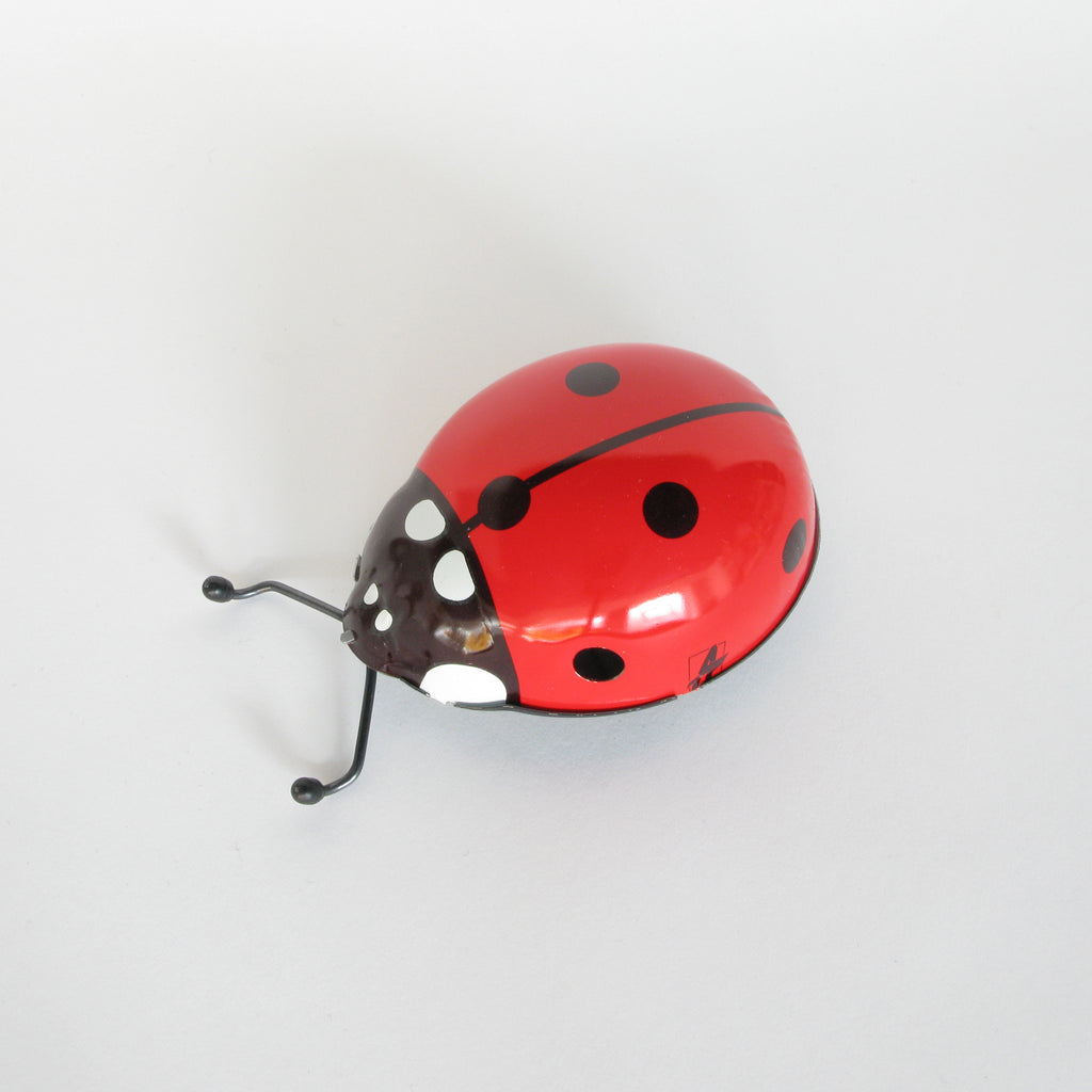 Ladybird