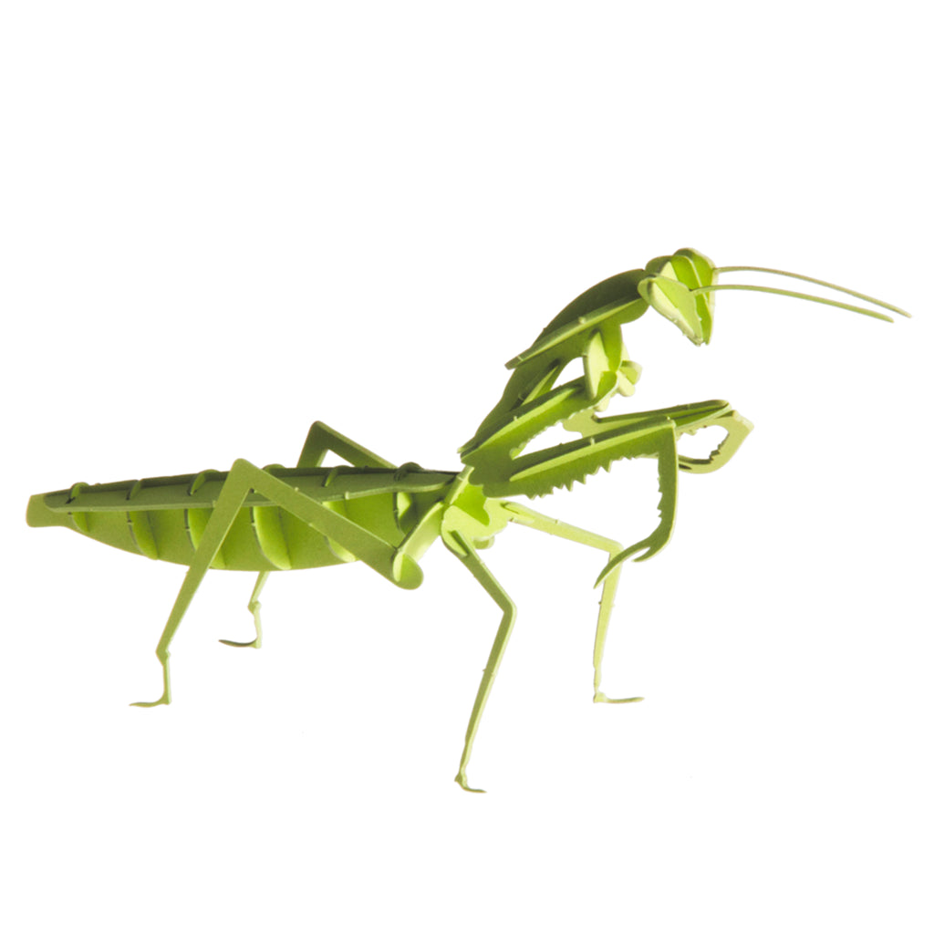 3D Paper Praying Mantis