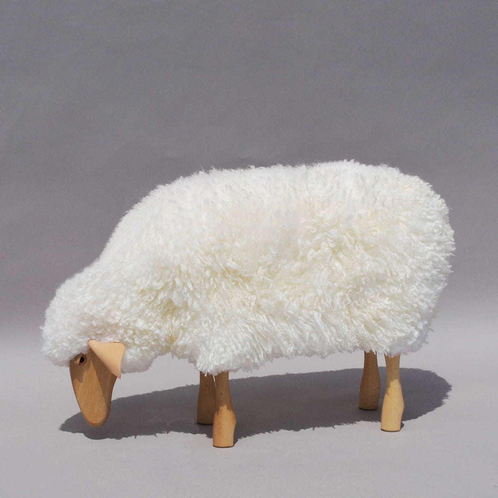 Small Sheep grazing