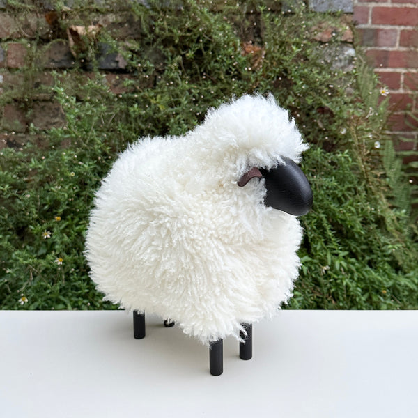 Black Faced Mini Lamb