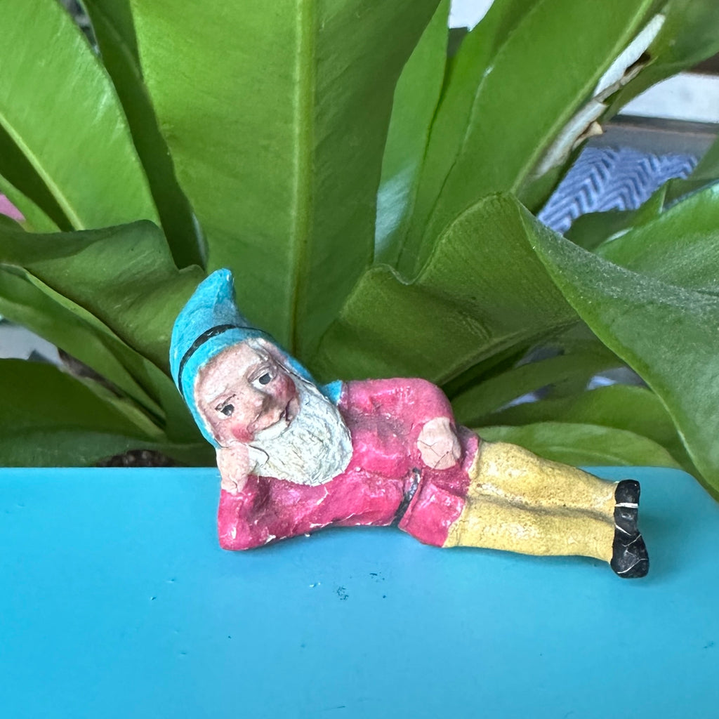 Gnome 5