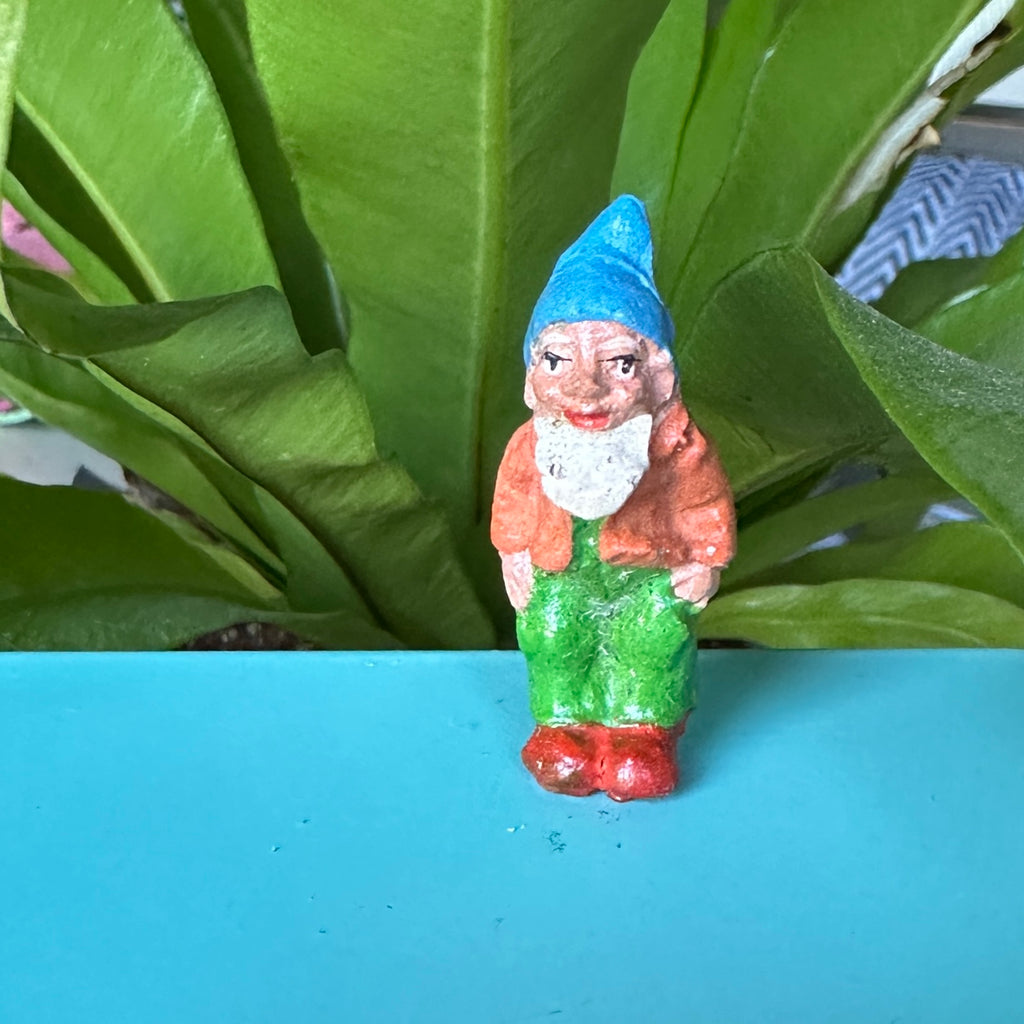 Gnome 7