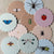 Insects
