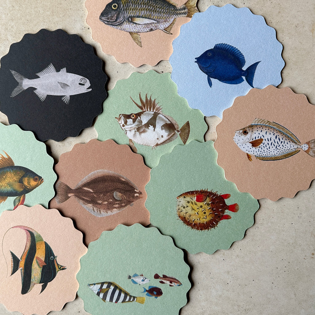 Fish