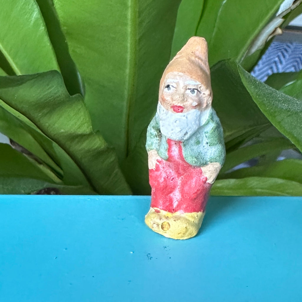 Gnome 6
