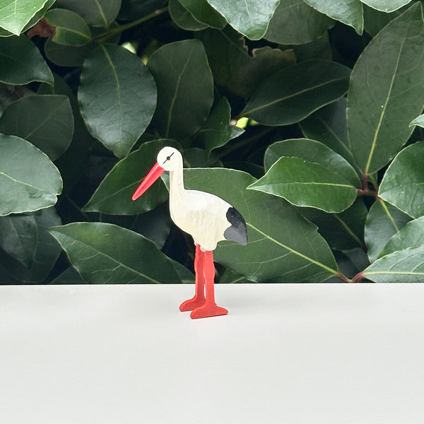 Little Wooden Stork