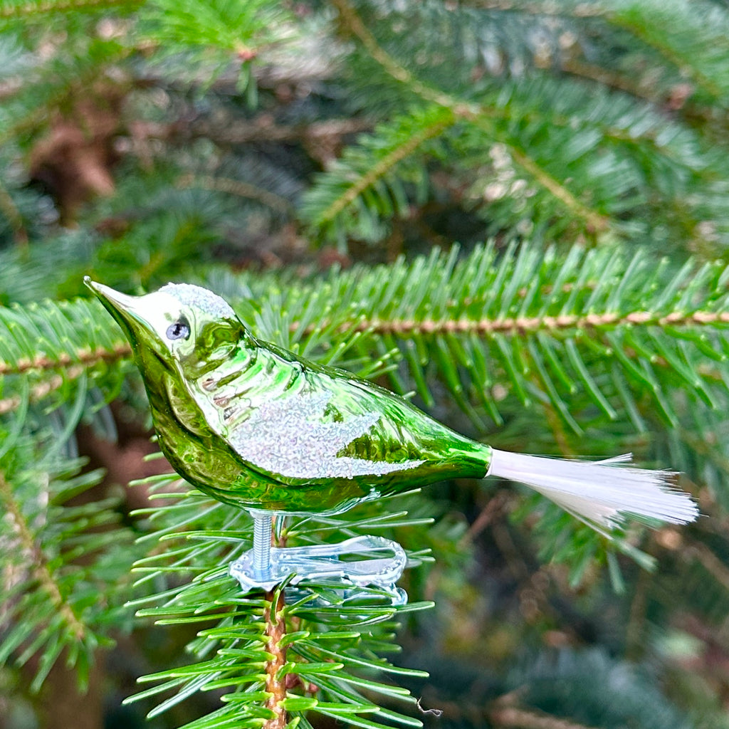 Green Bird