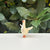 Little White Goose