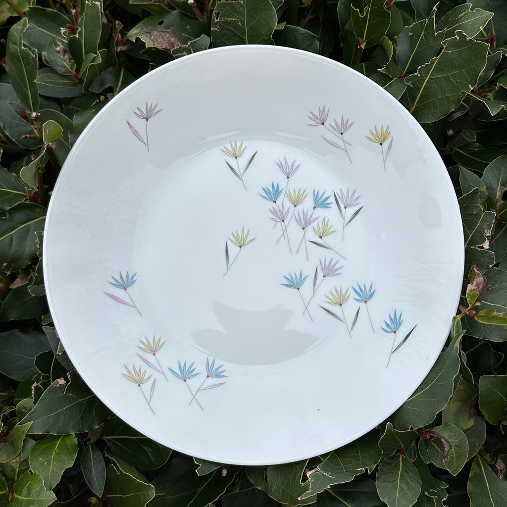Soup Plate/Dish