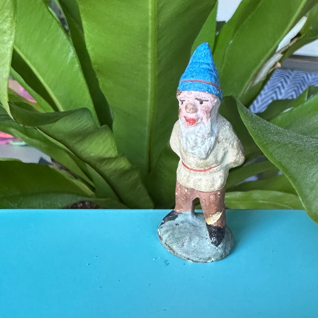 Gnome 8