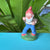 Gnome 9