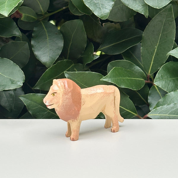 Little Wooden Lion