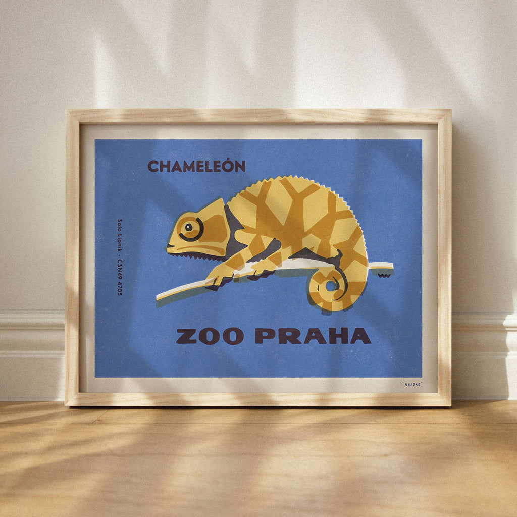 Prague Zoo Chameleon — Thorsten van Elten