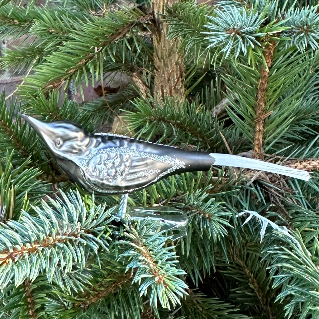 Grey Bird