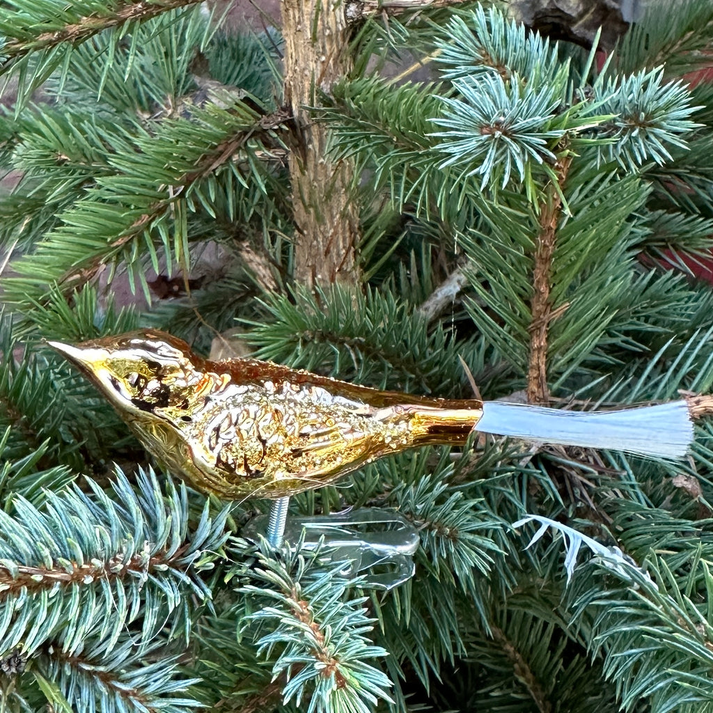 Golden Bird