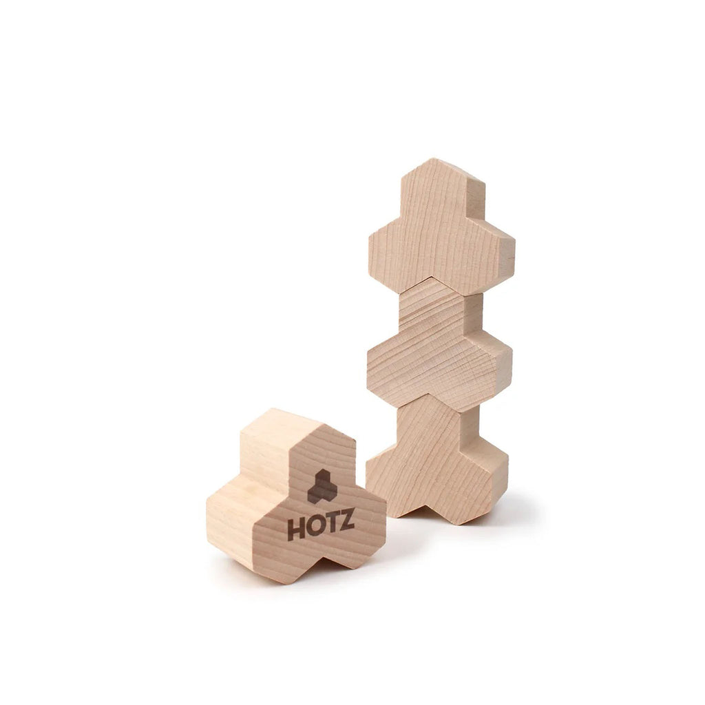 Hotz Architekt
