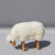 Lamb grazing