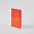 Neon Orange