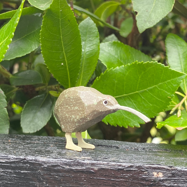 Little Wooden Kiwi