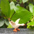 Miniature Goose