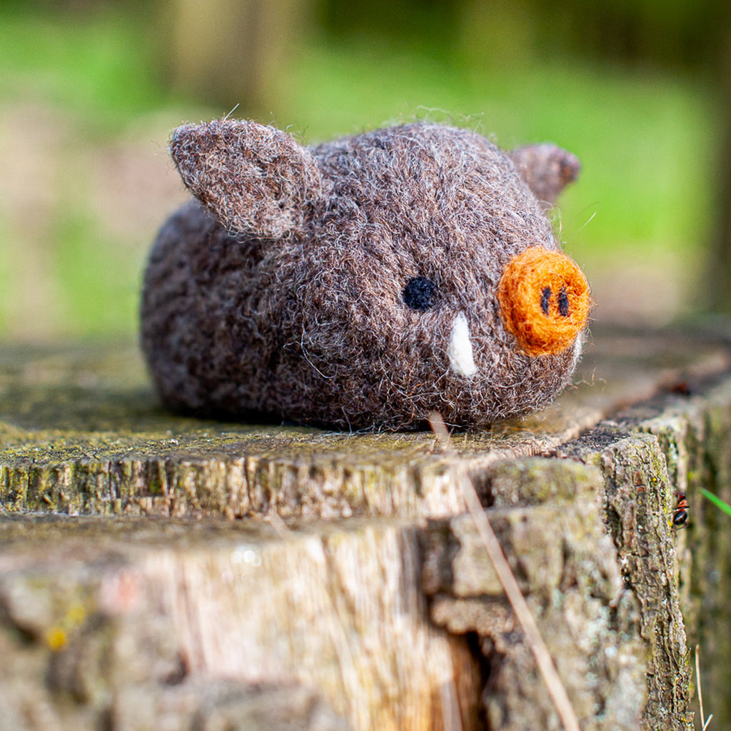 Wild Boar Felting Kit