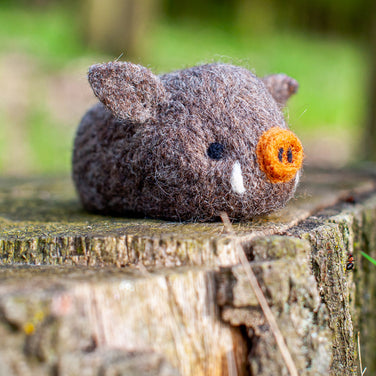 Wild Boar Felting Kit