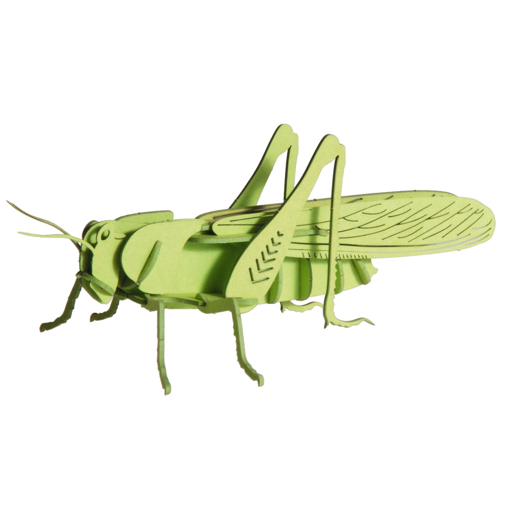 3D Paper Grasshopper