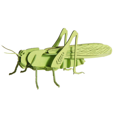 3D Paper Grasshopper
