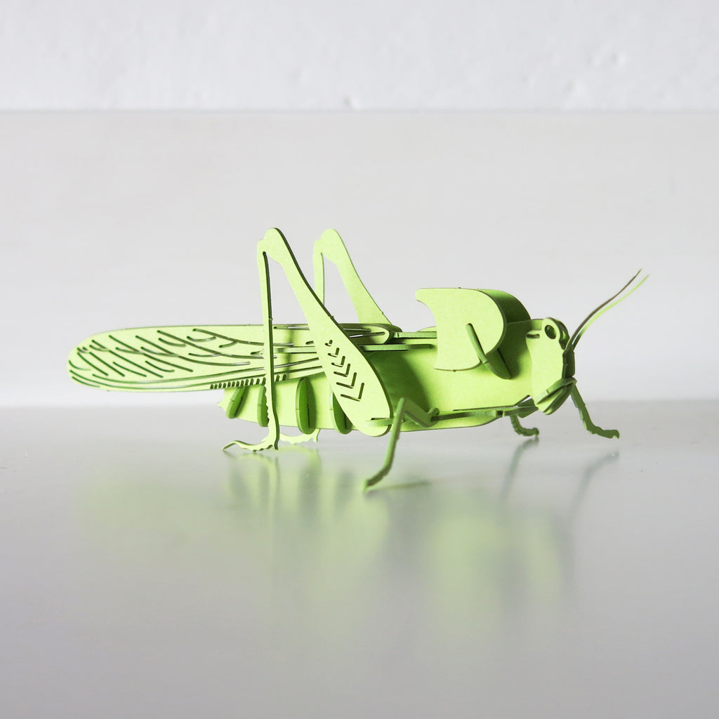 3D Paper Grasshopper