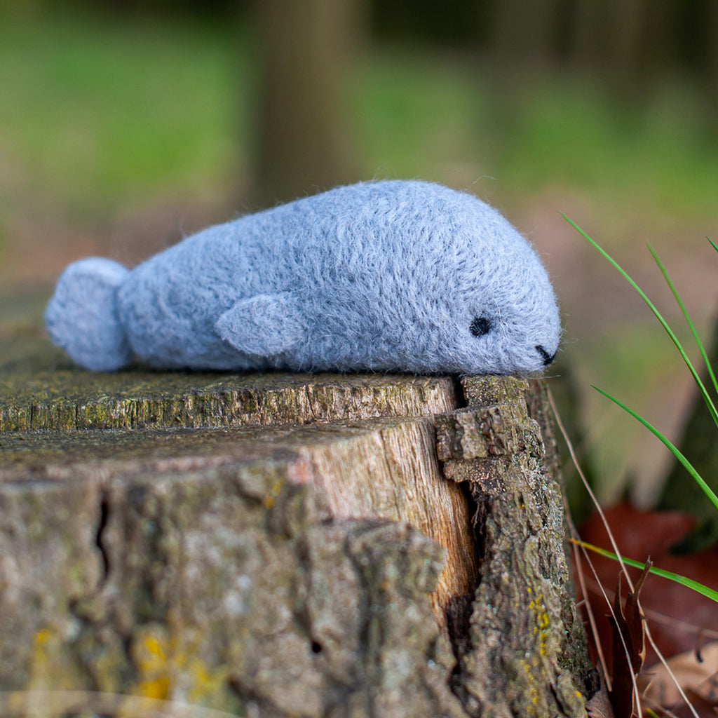 Seal Felting Kit