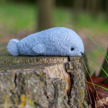 Seal Felting Kit