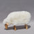 Small Sheep grazing