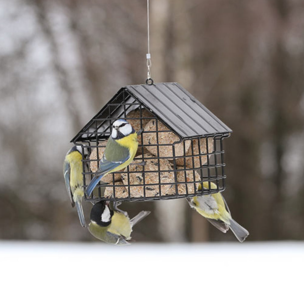 Suet Ball Cottage Black