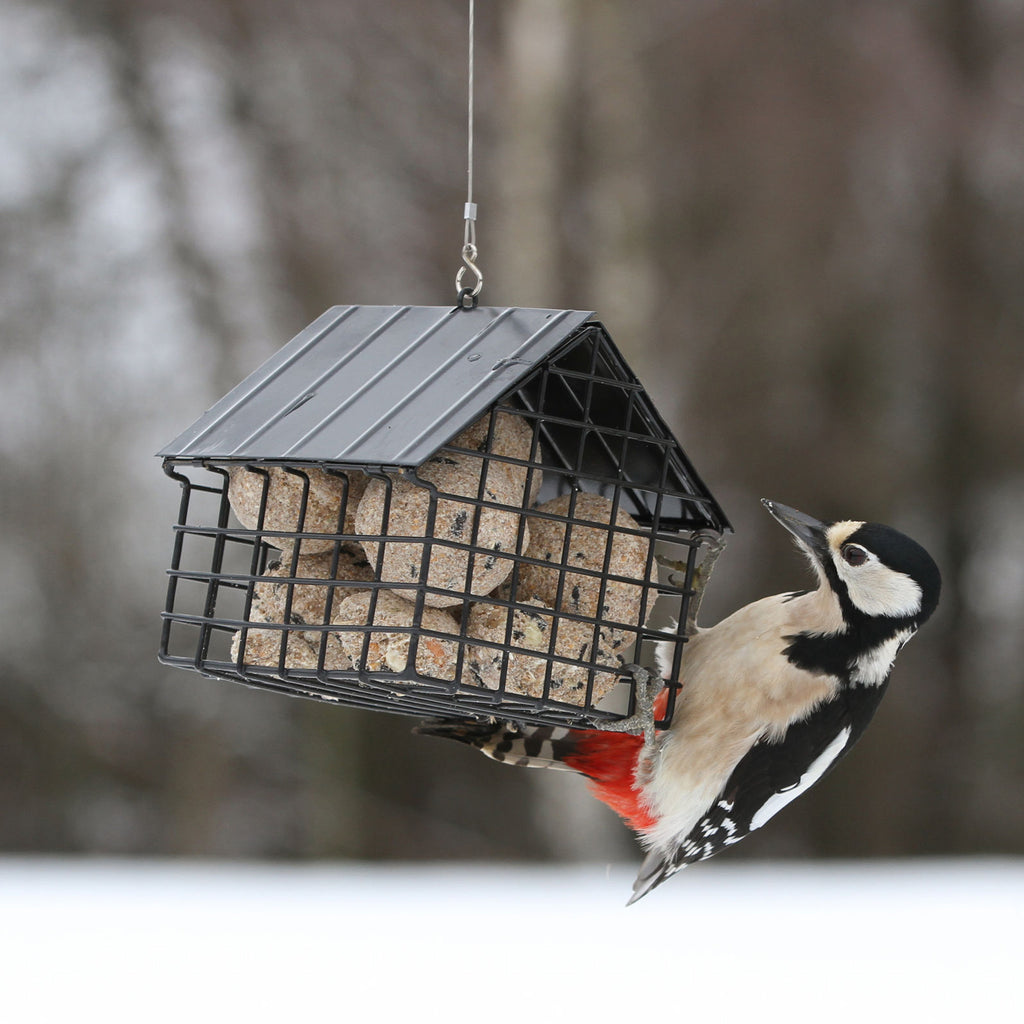 Suet Ball Cottage Black