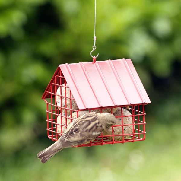 50% OFF Suet Ball Cottage Red